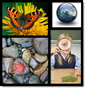 sciencenature
